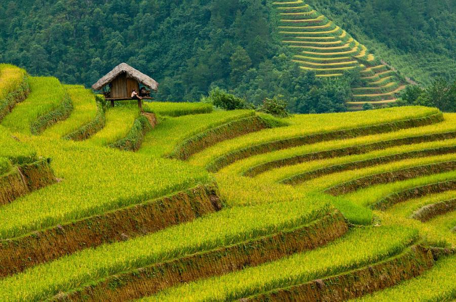 Интересное_место_banaue-rice-terraces02