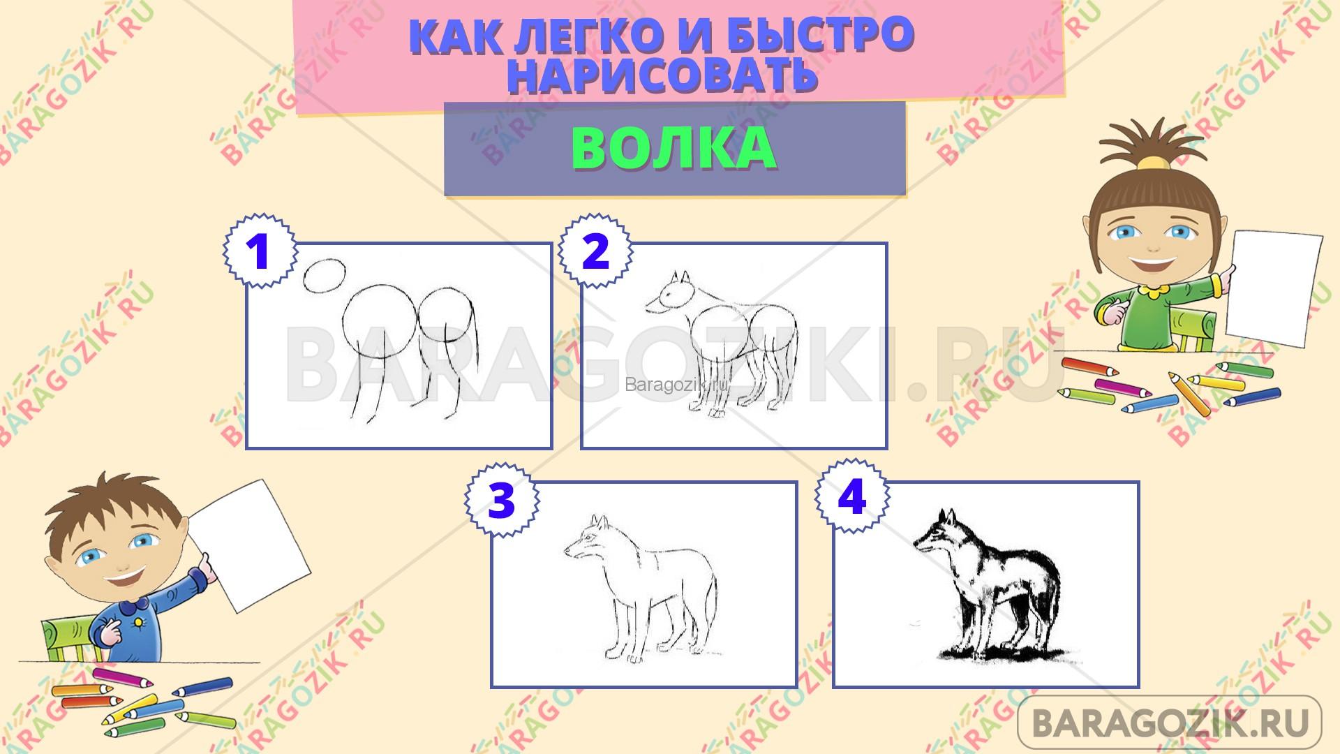 как легко нарисовать волка - пошаговая схема