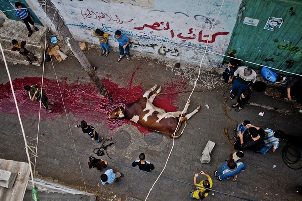 documentary photographers 03