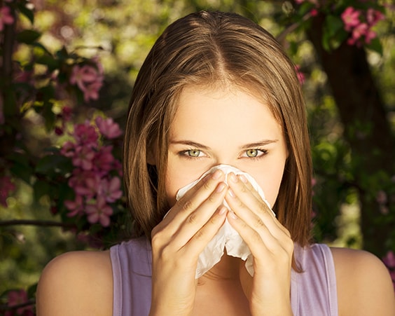 Сезонные аллергии – распространенная проблема