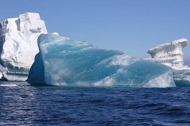 природа антарктиды 