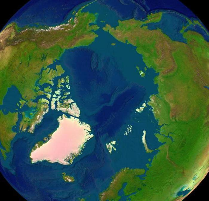 Арктическая пустыня почва 