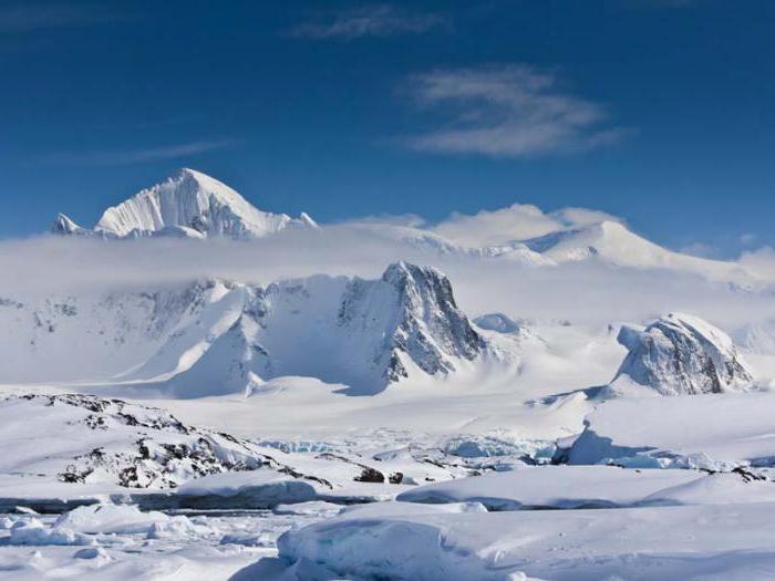 Арктические и антарктические пустыни почвы 