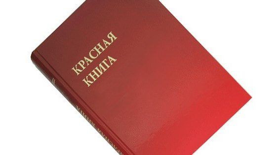 растения занесенные в красную книгу ростовской области