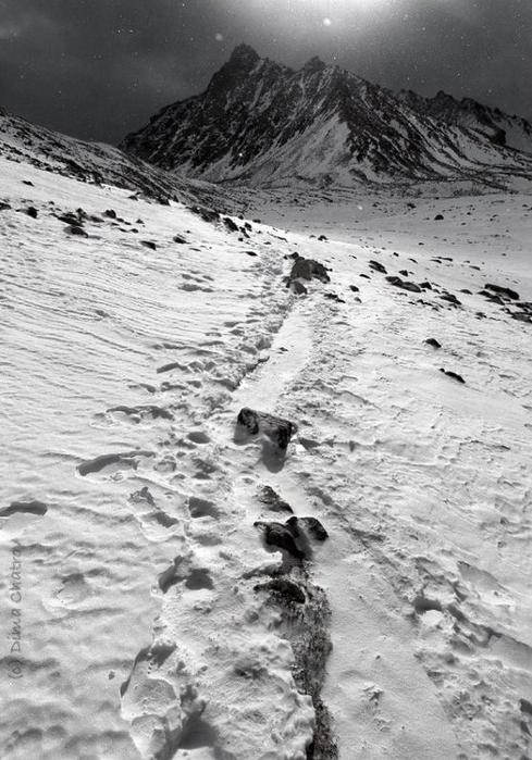 DSC_7212_1a-0 (489x700, 73Kb)