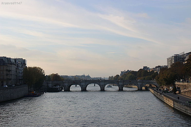 Париж. Вид на Новый мост (Pont Neuf)