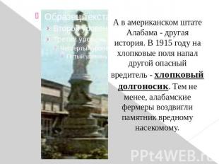 А в американском штате Алабама - другая история. В 1915 году на хлопковые поля н