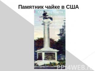 Памятник чайке в США