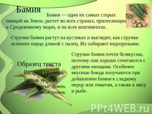 Бамия Бамия — один их самых старых овощей на Земле, растет во всех странах, прил