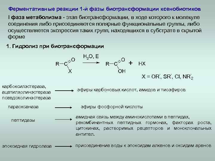 Ферментативные реакции 1 -й фазы биотрансформации ксенобиотиков l фаза метаболизма - этап биотрансформации, в