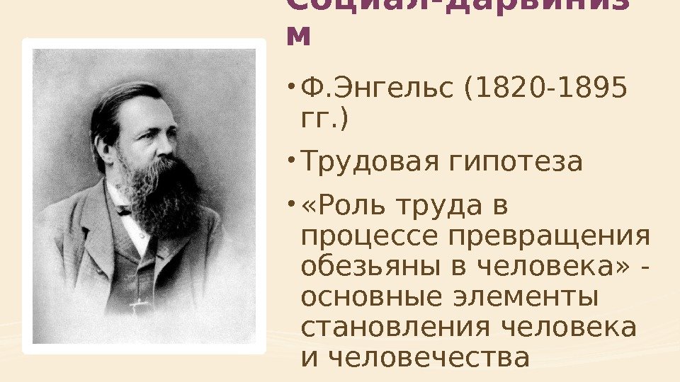 Социал-дарвиниз м • Ф. Энгельс (1820 -1895 гг. ) • Трудовая гипотеза • «Роль труда