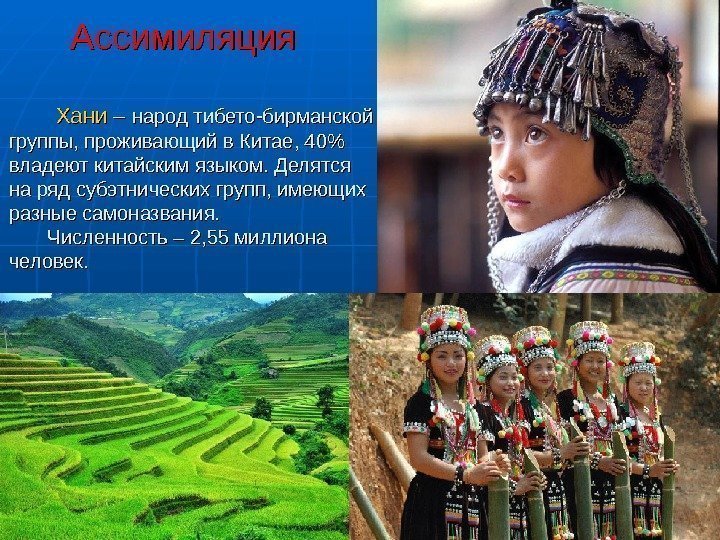  Ассимиляция Хани – – народ тибето-бирманской группы, проживающий в Китае,