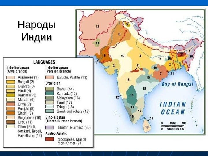  Народы Индии 