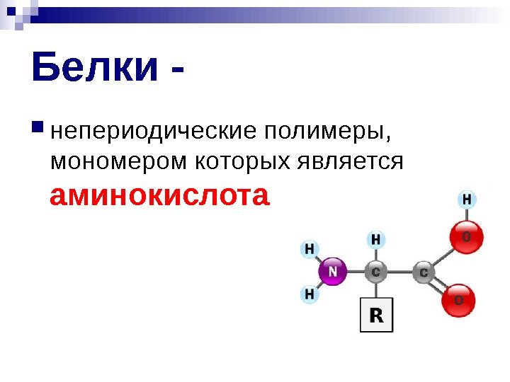  Белки - непериодические полимеры, мономером которых является аминокислота 