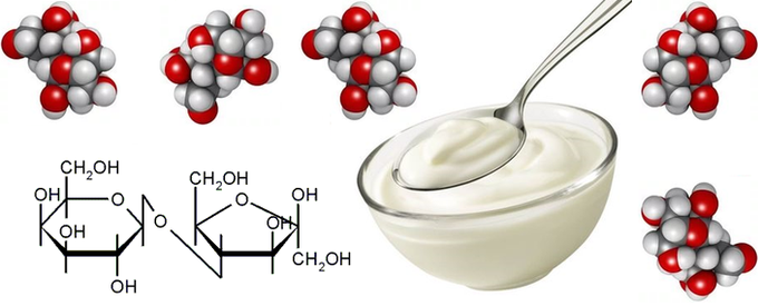 пребиотики + пробиотики = синбиотики