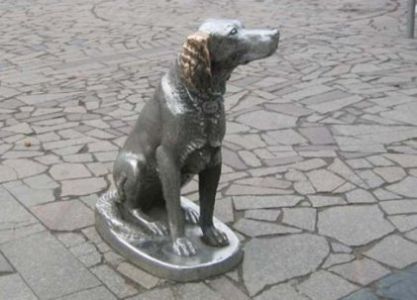 памятник белому биму в воронеже