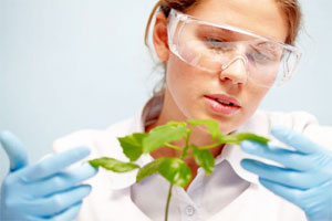 Биолог изучает растение