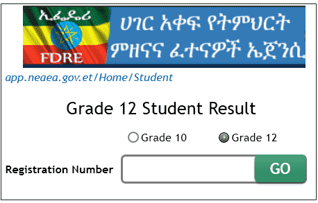 Ethiopia Grade 12 result 2020
