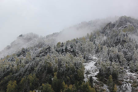 Первые заморозки