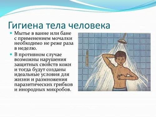 Правила личной гигиены