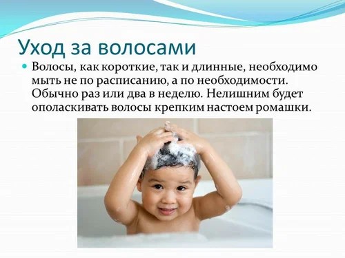 Правила личной гигиены