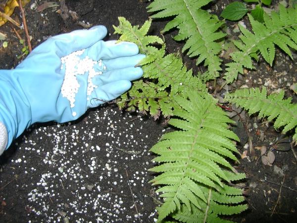 Внесение минеральных удобрений