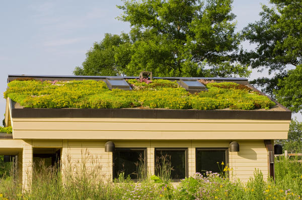 Сад на крыше в штате Миннесота