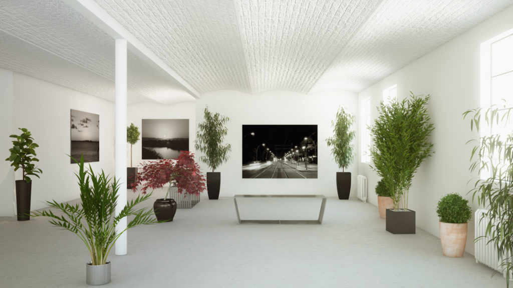 Выставочное пространство с живыми комнатными растениями