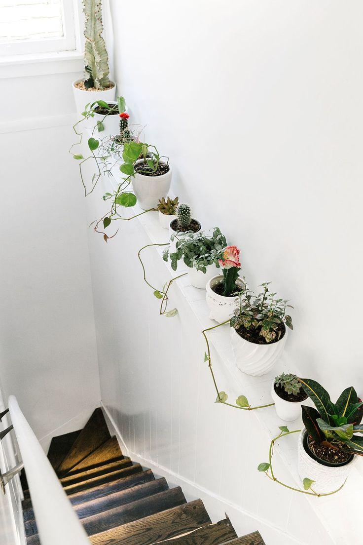 Комнатные растения в декоре лестницы