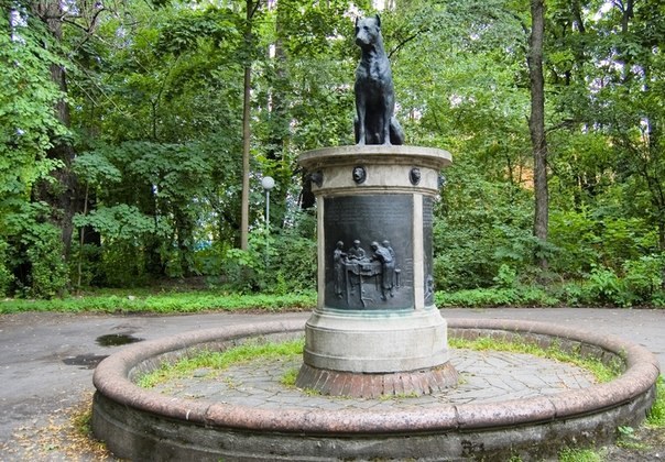 Памятник собаке Павлова в Санкт-Петербурге