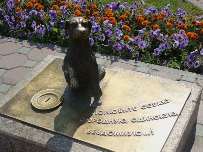 Памятник-копилка в Тюмени