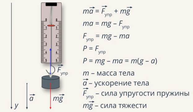 Математическое объяснение веса тела 