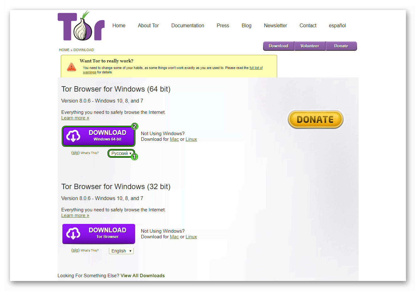 Скачать последнюю версию на Tor Browser русском